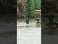 Literally Walking on Water!!