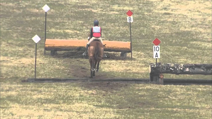 Glenn Catlett  "Rickard's Red"  Morven Park XC/JNR...