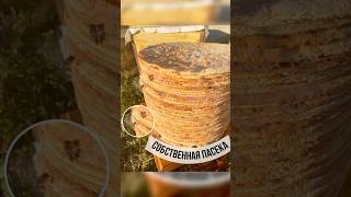 Обалдеть Шок Я и не знала шок валдберис торт