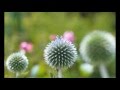 命  ~オリジナル~