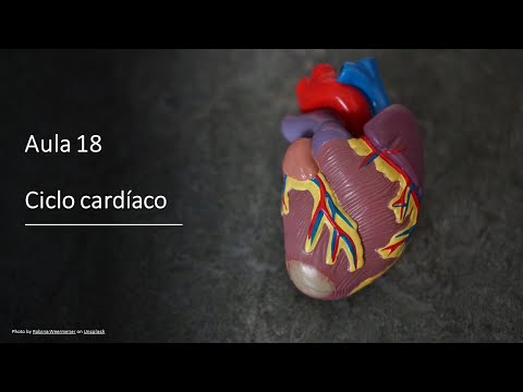 Vídeo: Em qual fase do ciclo cardíaco o s2 é ouvido?