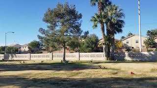 Redd Foxx Grave in Las Vegas (2018)