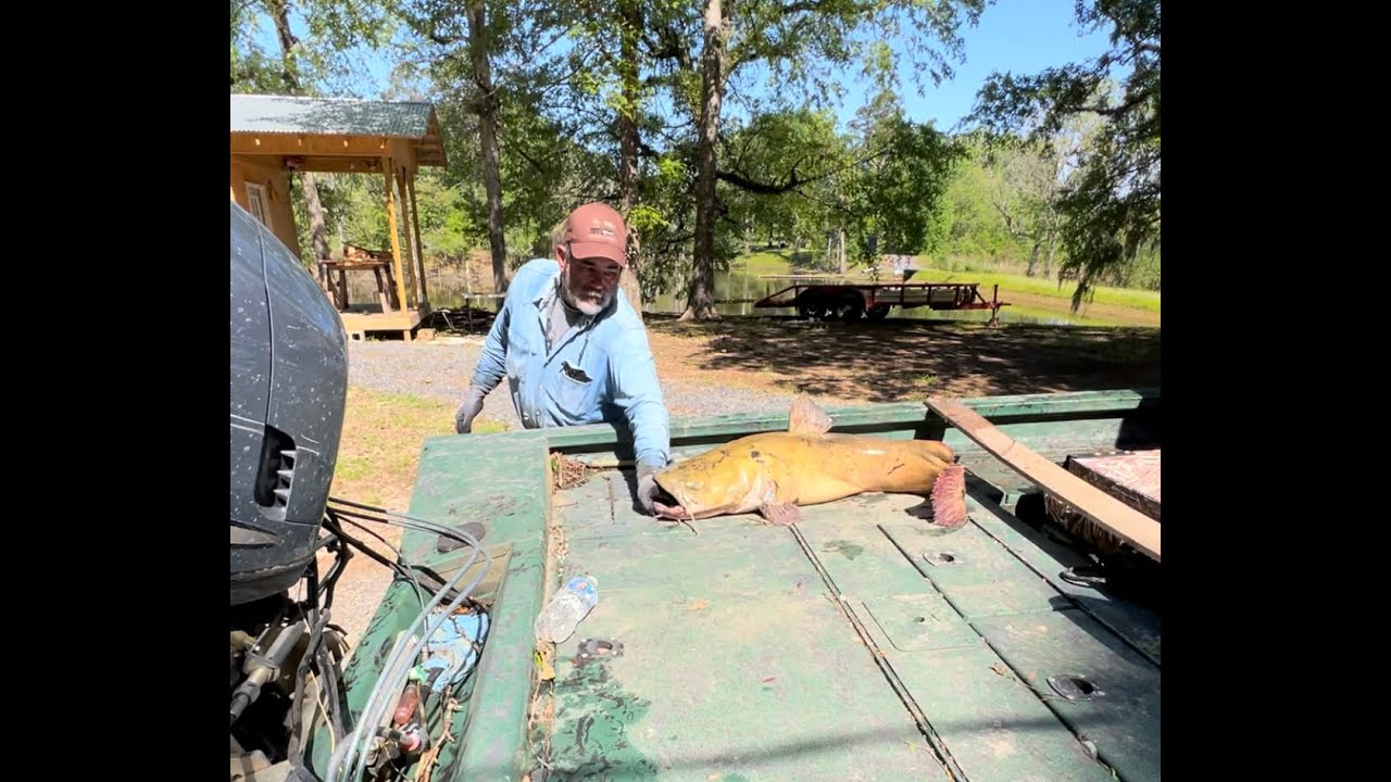 Running Catfish Nets on the Ouachita River YouTube