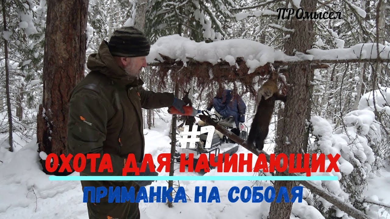 Предохранители на соболь
