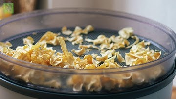 Making Parsnip Chips