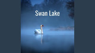 Tchaikovsky: Tchaikovsky: Swan Lake, Op.20, TH.12 / Act 2: No.14 Scène (Moderato)