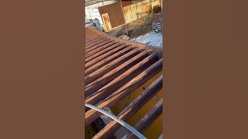 Getting ready to lift the grizzly bar cage off the top #youtube #youtubeshorts #shorts #short