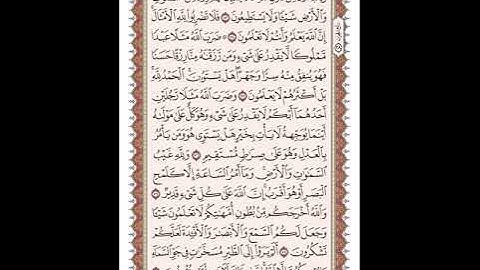 ص 275 القرآن الكريم صفحات بصوت المنشاوي نسخة الإذاعة