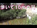 駐車場から10ｍの激浅小川で釣りしてみると・・・