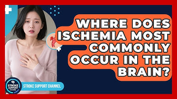 Where Does Ischemia Most Commonly Occur in the Brain? | Stroke Support Channel