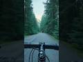 CYCLING FLOW: North Van's Demonstration Forest