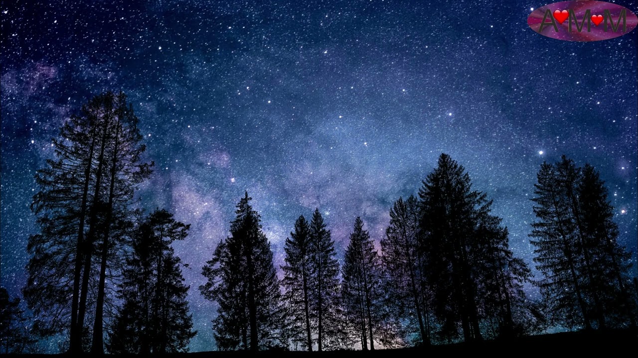 Grillen in einer Sommernacht - Entspannende Geräusche der Natur.