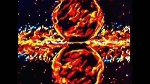 Fermi Bubbles solve Final Parsec Problem