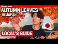 Japan Fall Foliage 2025 - Latest info &amp; Places you don't wanna miss!