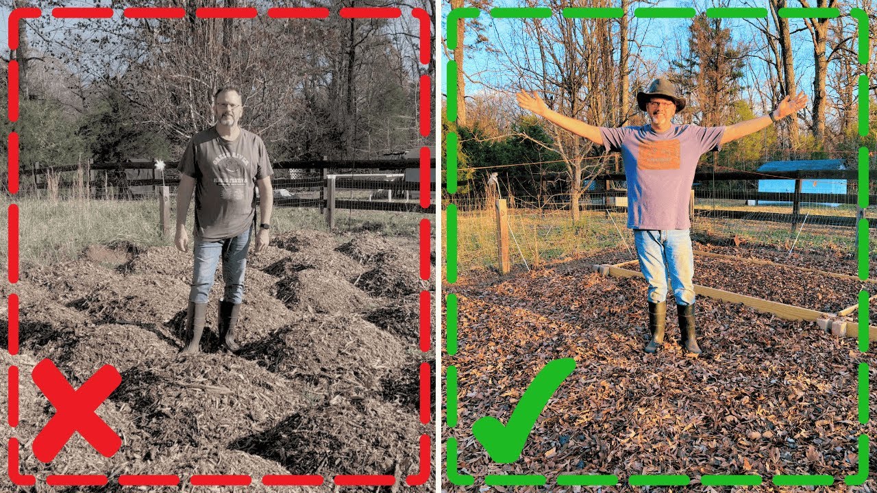 ЗИМА: Компост или мульча из листьев? Защитите здоровье своего сада в долгосрочной перспективе.