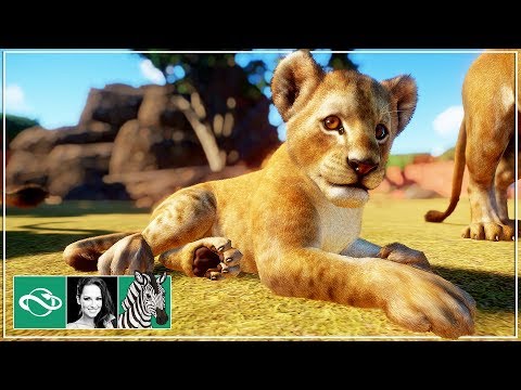 🦓-simba,-timon-&-pumba-|-let's-play-planet-zoo-franchise-mode-|-beta-|-gameplay-|