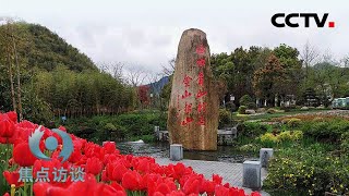 《焦点访谈》生态优先 绿色发展 20200515 | CCTV