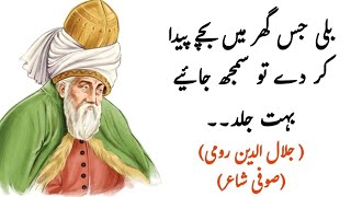 Sofi poet Molana Jalal u din Rumi Quotes about Sakhawat Quran & Islam bestest Qoutes of Molana Rumi screenshot 3