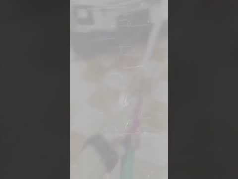 يمرح ويلهو ويساعد الجيران