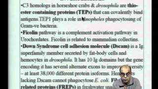 Mod-22 Lec-40 Evolution of the immune system