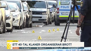 Så fungerar klanerna i Sverige "Man förråder aldrig en släkting"  - Nyhetsmorgon (TV4)