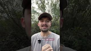 Frisch Getrennt? TU DIES! #exzurück #nocontact #exfreund #exfreundin #trennung #trennungsschmerz