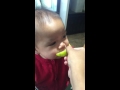 Baby vs lemon