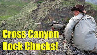 Cross Canyon Rock Chucks in 4K