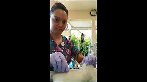 Penn Foster E2- Skill 48