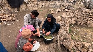 Atabek's Adventure on a Rainy Day in the Heart of the Mountain: Health Harvest