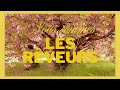 Les Rêveurs : Ambitions au-delà du Possible ✨