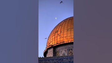 (الله ينصرهم ويقويهم يارب) #إسلام_صبحي #غزة #فلسطين #قرآن #قران_كريم #تلاوات #قرآن_كريم