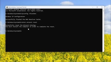 How To Fix The Connection Has Timed Out On Windows 11 [Solution]