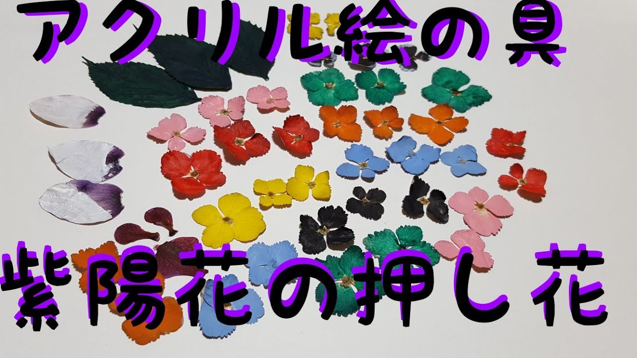 ｕｖレジン初心者 紫陽花の押し花 アクリル絵の具で 鮮やかなお花のパーツ作るよ Youtube