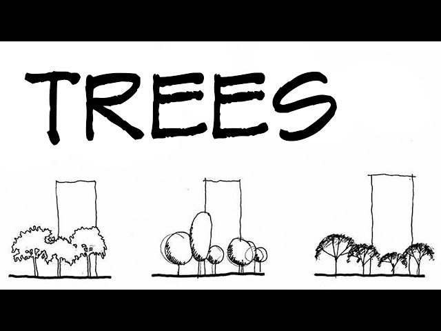 Vegetação – Representação  Trees drawing tutorial, Architecture sketch,  Landscape sketch