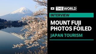 Town builds screen to block Mount Fuji view as Japan grapples with tourists | The World