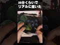 30分くらいでリアルにブルーベリーを描く　アクリル画