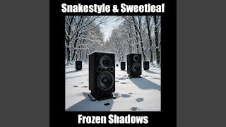 Frozen Shadows