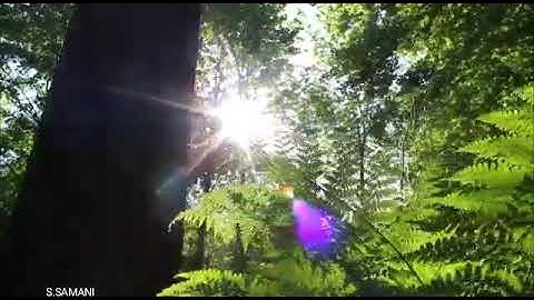 الشيخ عبدالولي بن محمد الأركاني ، ولد بمكة المكرمة عام 1983 ,آيات من سورة الفرقان