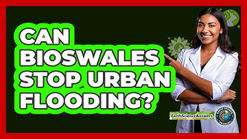 Can Bioswales Stop Urban Flooding? - Earth Science Answers