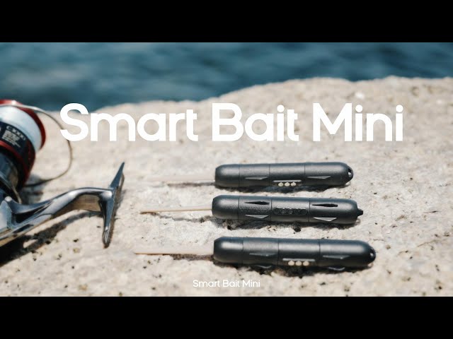 ? Kanama Smart Bait Mini- Revive little dead bait fish. - YouTube