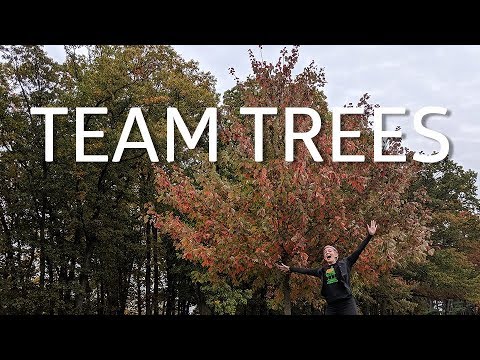 What Tree Are They Planting In Teamtrees