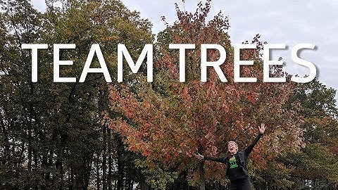 Tree scientists IRL! | #TeamTrees