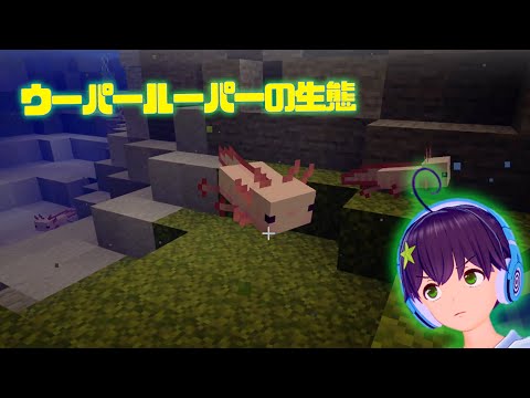 ウーパールーパーってどんなモブなん？【マイクラ1.17】