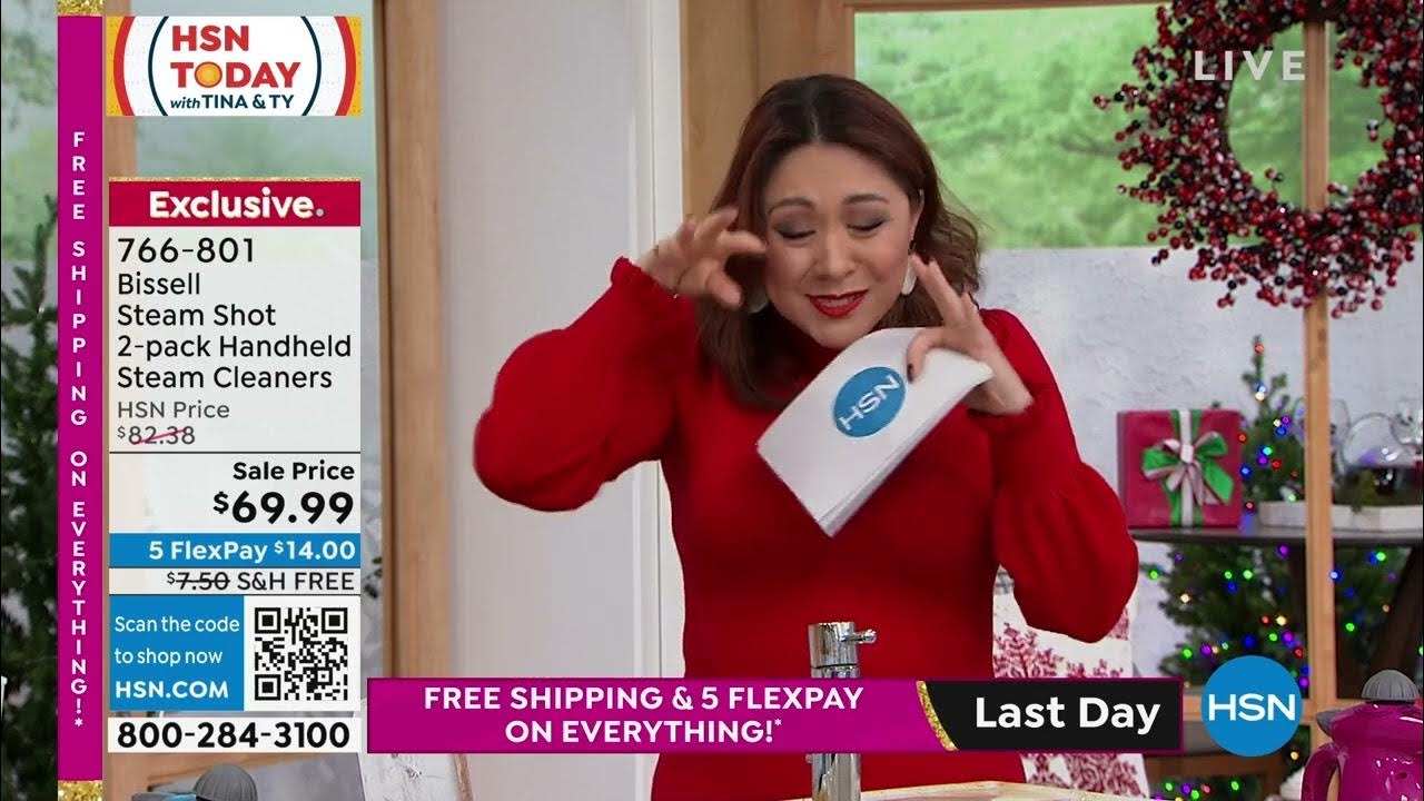 Bissell Steam Shot 2pack Handheld Steam Cleaners YouTube