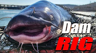 DAM Catfishing SECRETS Only a HANDFUL of Anglers Know!