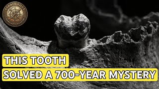 DNA From 700-Year-Old Teeth Finally Reveals Where the Black Death came from