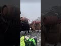 Hardship of Mountain's Life