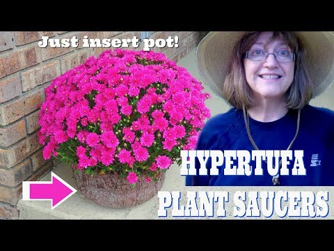 Need Plant Saucers? Make A Pair With Hypertufa!