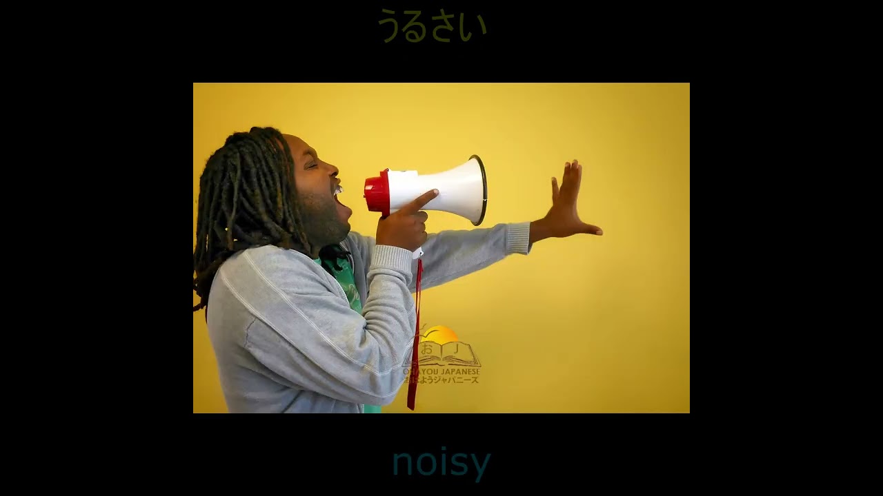 20+ Most Important Japanese Adjectives You Must Know| はんたい　けいようし